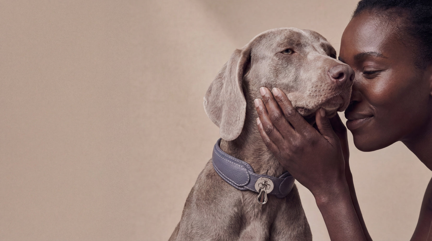 The Real Cost of a Cheap Dog Bed — Why Pet Parents Replace Beds Every 6 Months