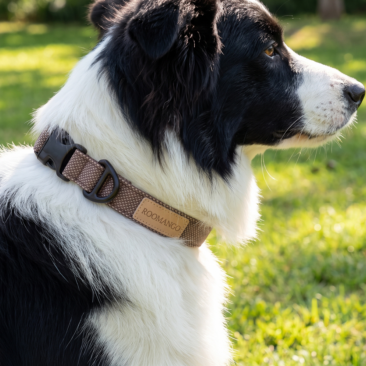 High toughness and wear-resistant reinforced metal traction ring for pet collars